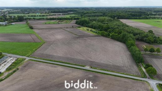 Tweede alternatieve foto van het pand