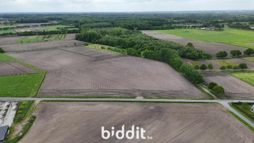 Derde alternatieve foto van het pand