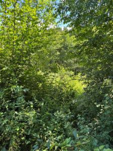 Presentatiebeeld van het pand n° 285089