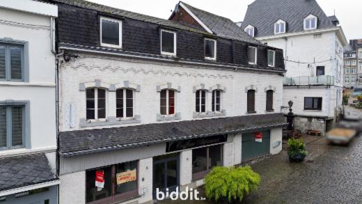 Presentatiebeeld van het pand n° 288452