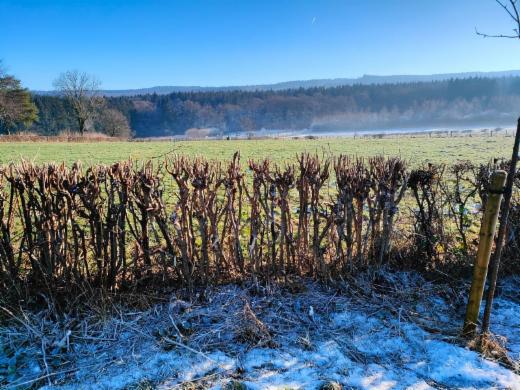Eerste alternatieve foto van het pand