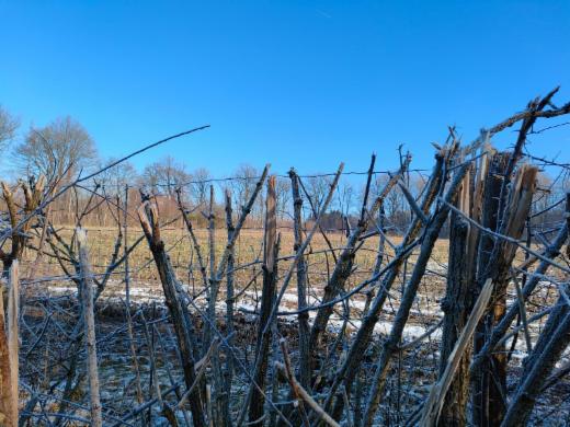 Tweede alternatieve foto van het pand