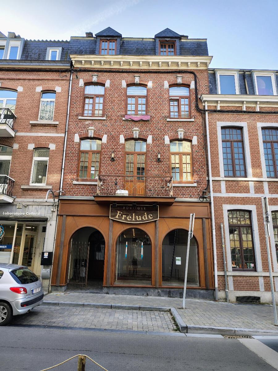 Presentatiebeeld van het pand n° 295520