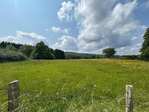 Tweede alternatieve foto van het pand
