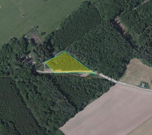 Presentatiebeeld van het pand n° 286262