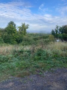 Tweede alternatieve foto van het pand