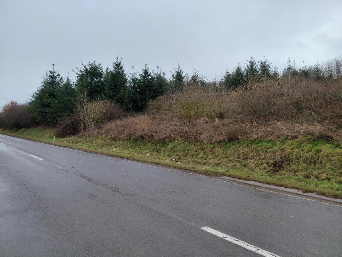 Presentatiebeeld van het pand n° 294146