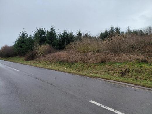 Presentatiebeeld van het pand n° 294146