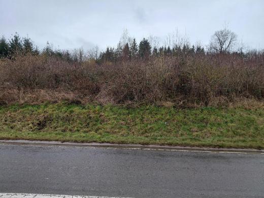 Tweede alternatieve foto van het pand