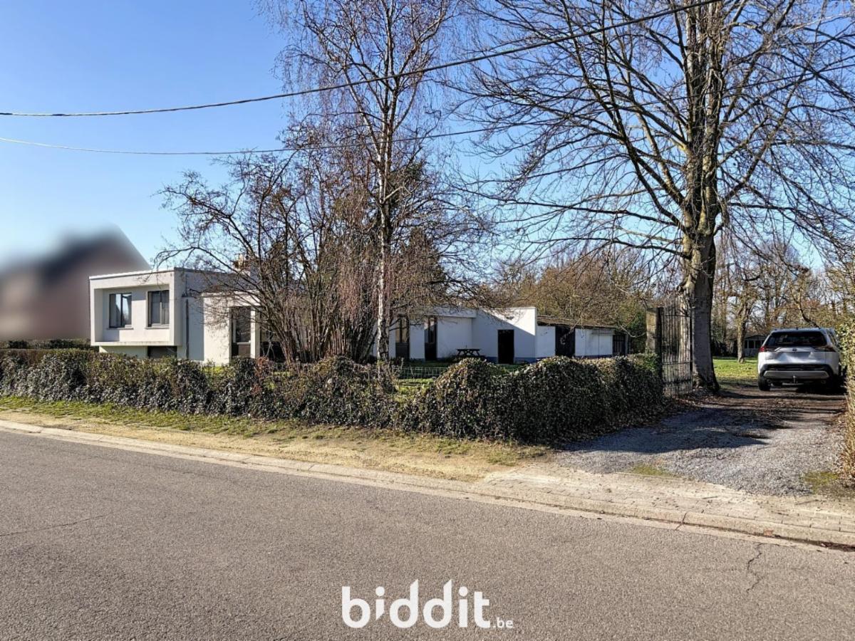 Presentatiebeeld van het pand n° 295934