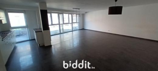 Presentatiebeeld van het pand n° 296399