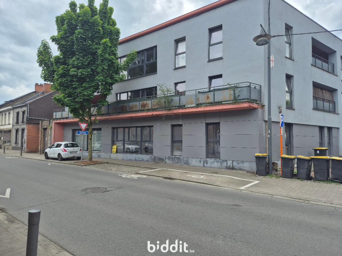 Presentatiebeeld van het pand n° 296403