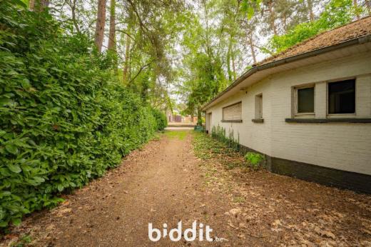 Eerste alternatieve foto van het pand