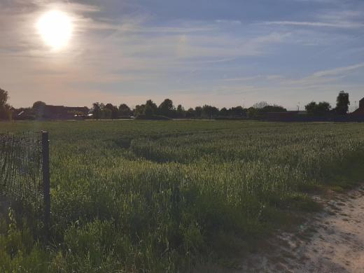 Tweede alternatieve foto van het pand