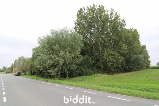 Tweede alternatieve foto van het pand