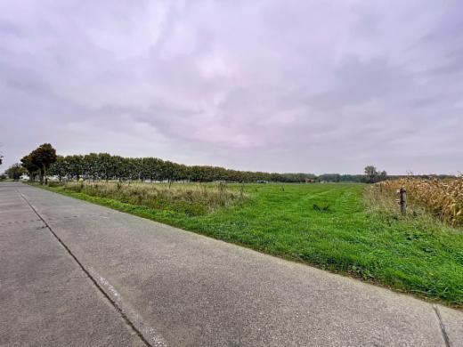 Eerste alternatieve foto van het pand