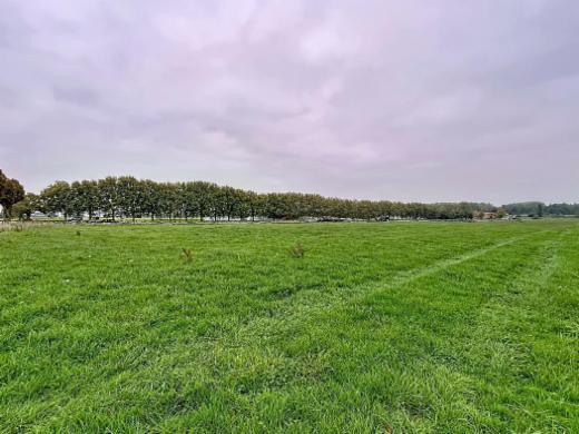 Tweede alternatieve foto van het pand