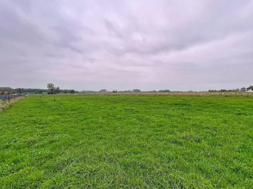 Derde alternatieve foto van het pand