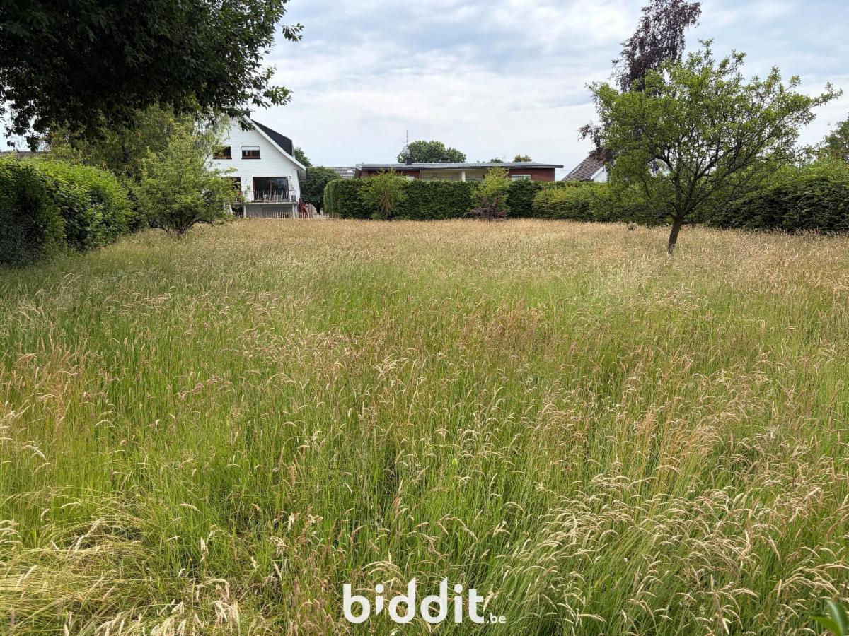 Presentatiebeeld van het pand n° 298174