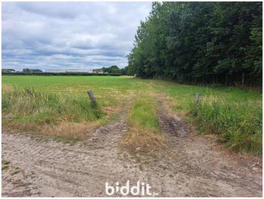 Eerste alternatieve foto van het pand