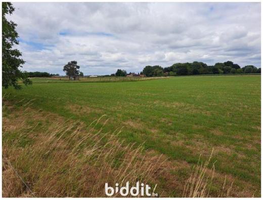 Tweede alternatieve foto van het pand