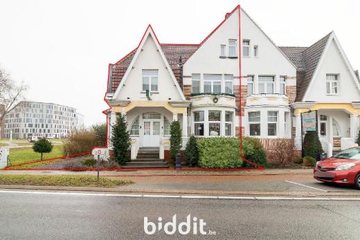 Presentatiebeeld van het pand n° 294330