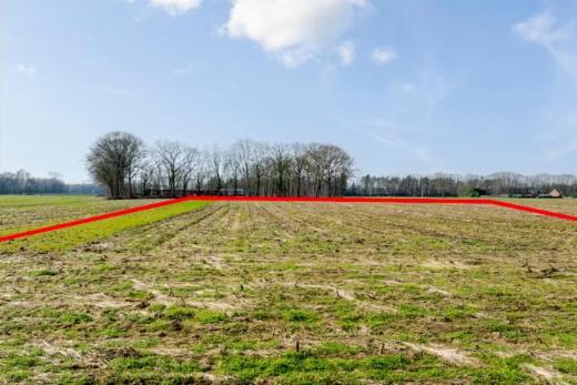 Tweede alternatieve foto van het pand