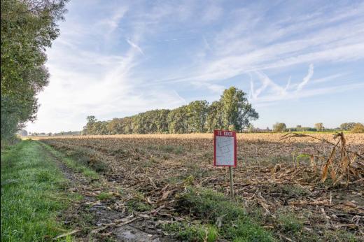 Eerste alternatieve foto van het pand