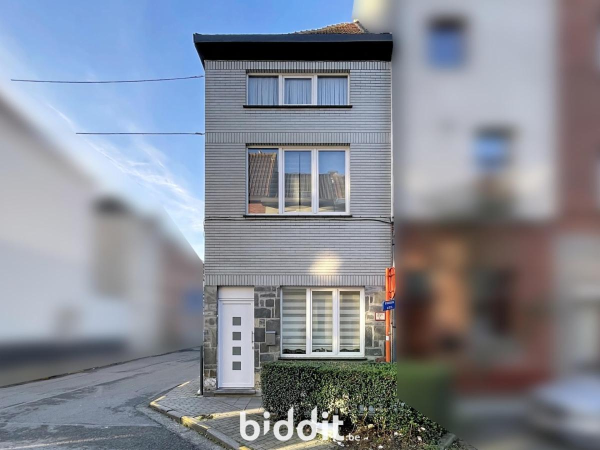 Presentatiebeeld van het pand n° 295041