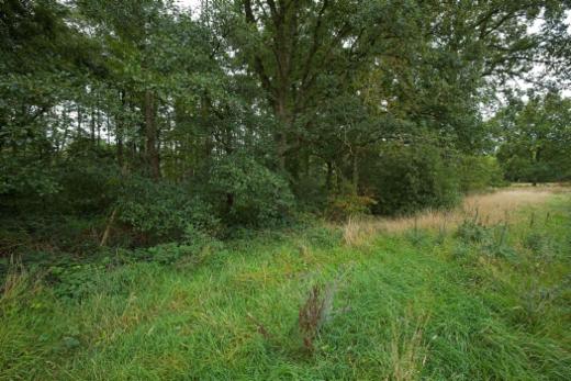 Tweede alternatieve foto van het pand
