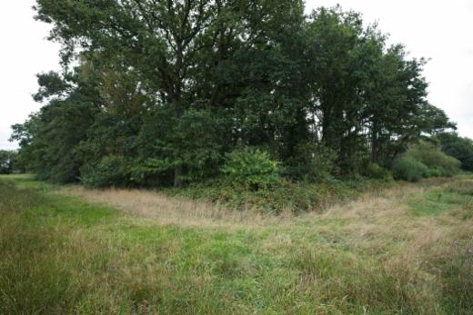 Derde alternatieve foto van het pand