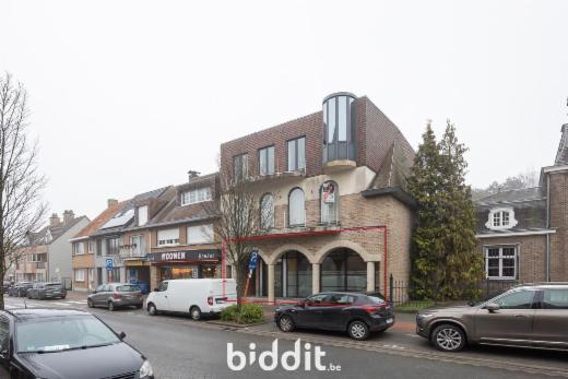 Presentatiebeeld van het pand n° 294942