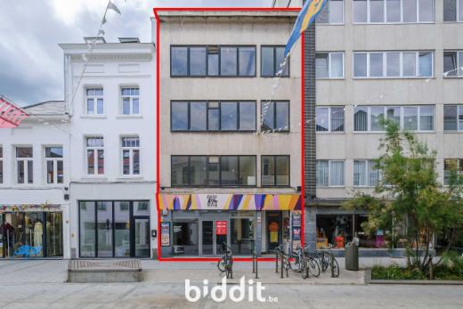 Presentatiebeeld van het pand n° 300279
