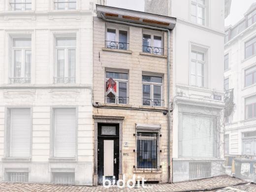 Presentatiebeeld van het pand n° 294617