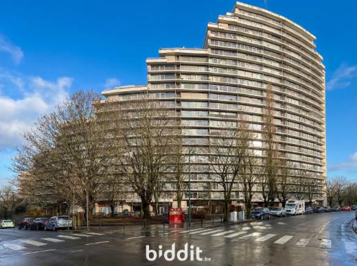 Presentatiebeeld van het pand n° 295086