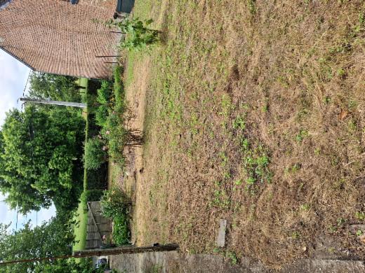 Eerste alternatieve foto van het pand