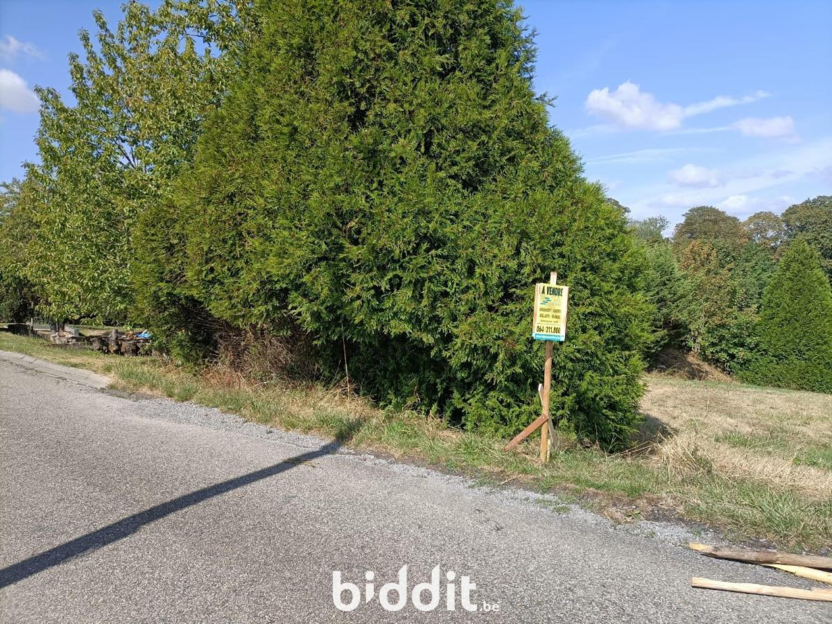 Presentatiebeeld van het pand n° 299863