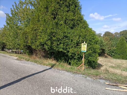 Presentatiebeeld van het pand n° 299863