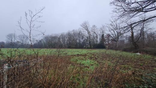 Eerste alternatieve foto van het pand