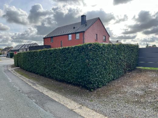 Eerste alternatieve foto van het pand