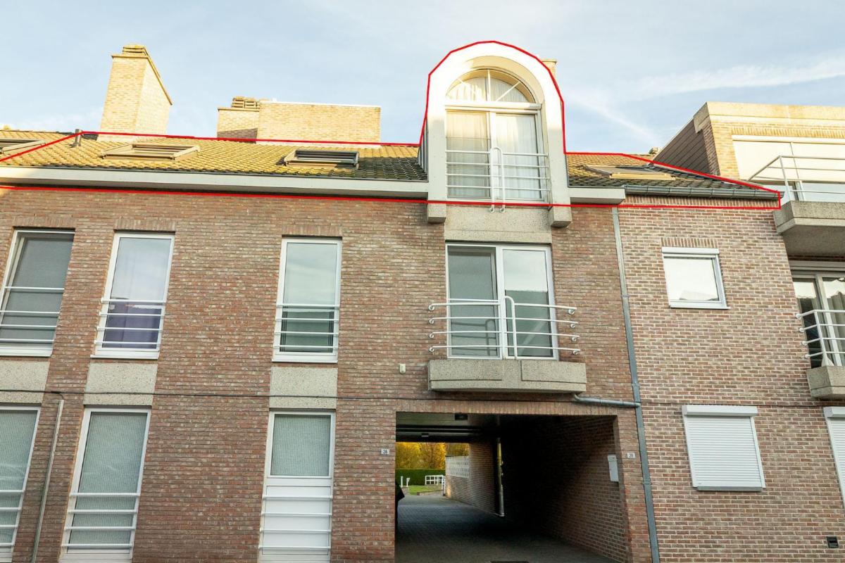 Presentatiebeeld van het pand n° 291231