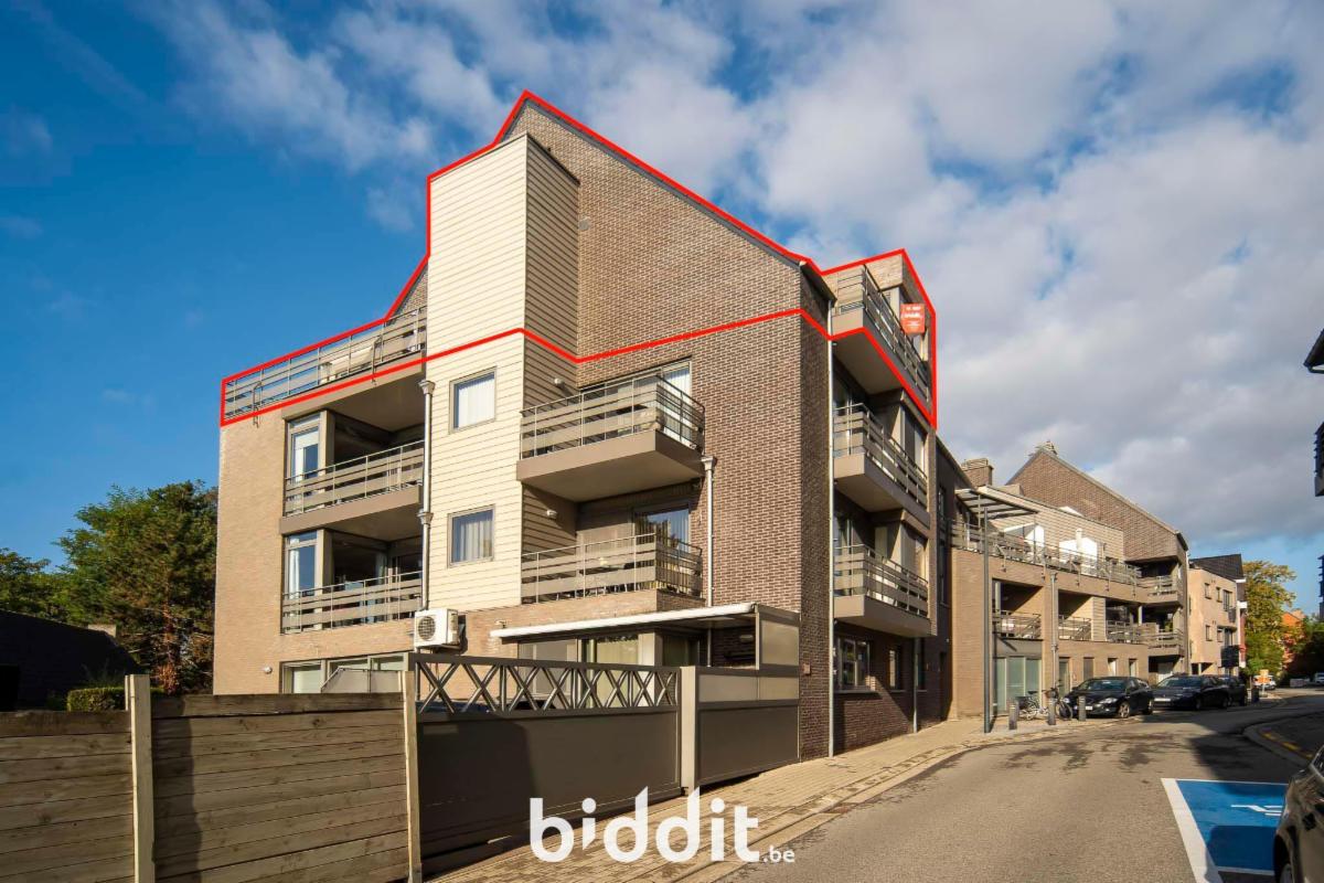 Presentatiebeeld van het pand n° 292269