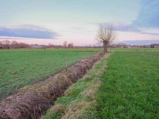 Presentatiebeeld van het pand n° 291846