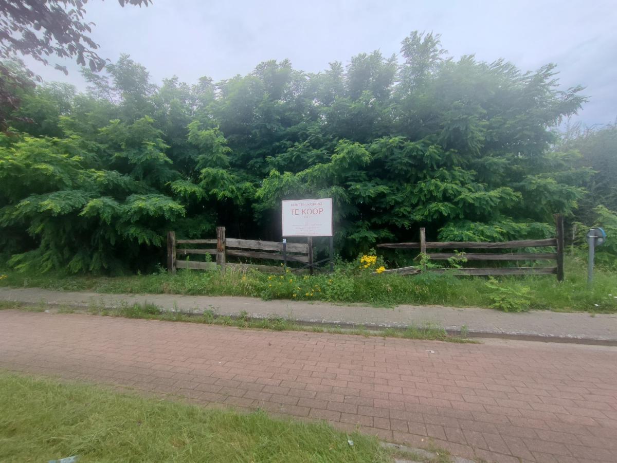 Presentatiebeeld van het pand n° 298365