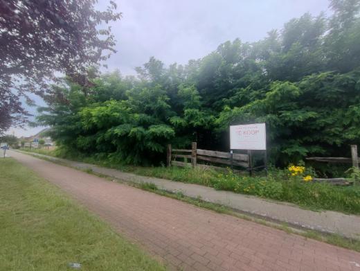 Tweede alternatieve foto van het pand