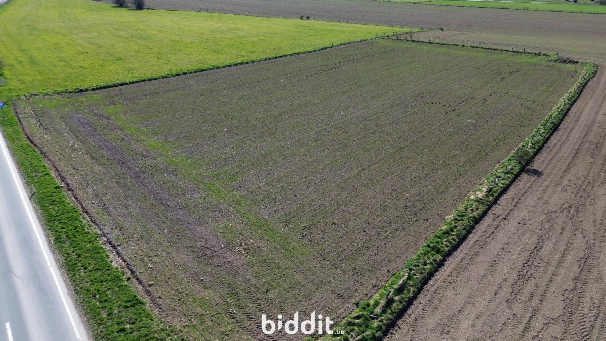 Presentatiebeeld van het pand n° 291693