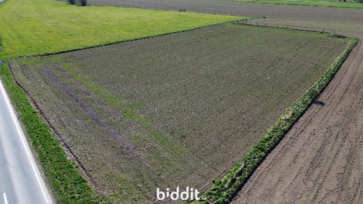 Presentatiebeeld van het pand n° 291693