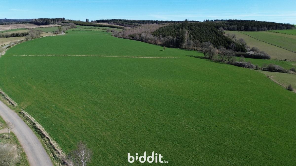 Presentatiebeeld van het pand n° 291703