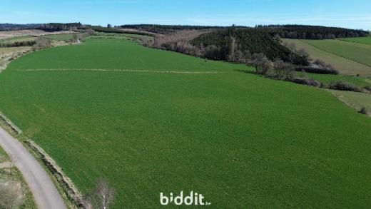 Presentatiebeeld van het pand n° 291703