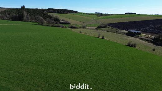 Eerste alternatieve foto van het pand